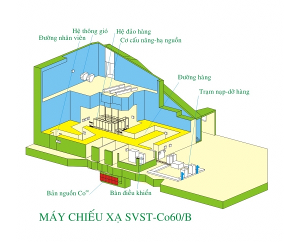 CÆ¡ sá»Ÿ chiáº¿u xáº¡ sá»­ dá»¥ng Co-60